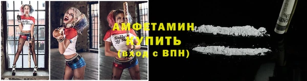 гидра Бронницы