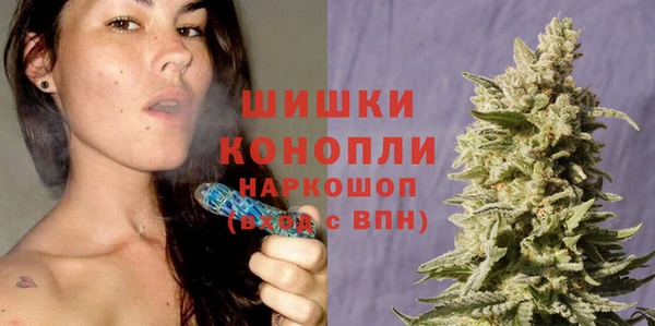 гидра Бронницы