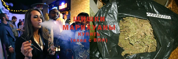 гидра Бронницы