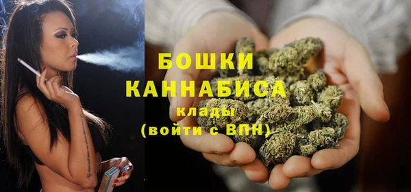 гидра Бронницы