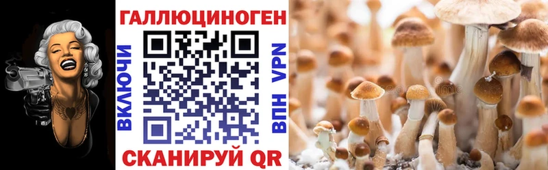 ссылка на мегу tor  Игра  Галлюциногенные грибы MAGIC MUSHROOMS 
